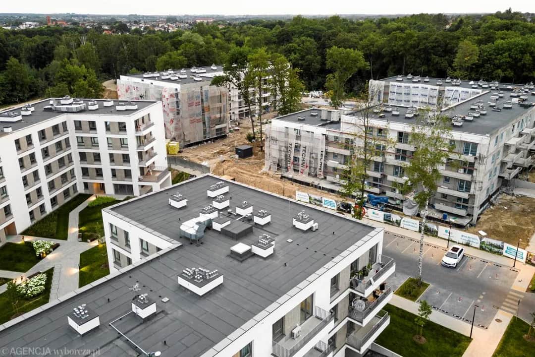 Firma deweloperska w Polsce: Start od zera co musisz wiedzieć?